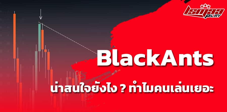 ค่ายเกม BlackAnts