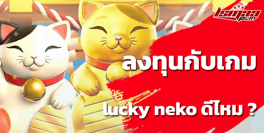 lucky neko